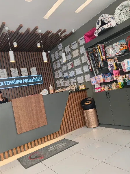Çatalca Veteriner Polikliniği foto 2