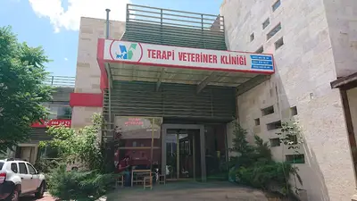 Terapi Veteriner Avanos