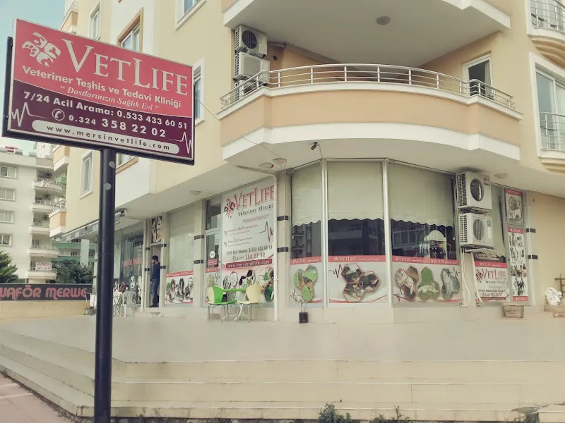 Mersin VETLife Veteriner Kliniği foto 1