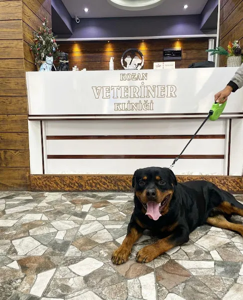KOZAN VETERİNER KLİNİĞİ foto 1