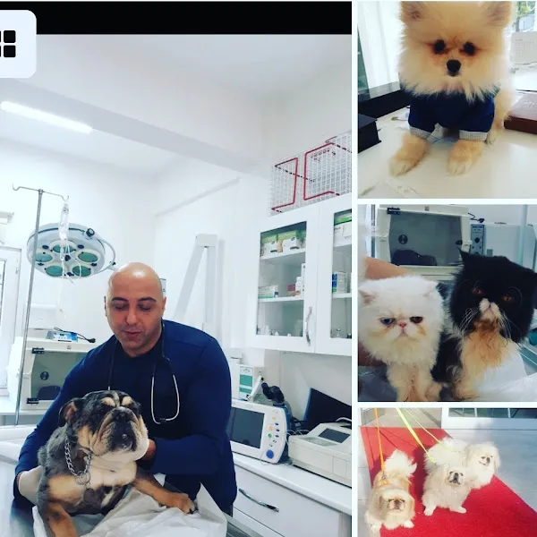 Dilmaç Veteriner Kliniği foto 2