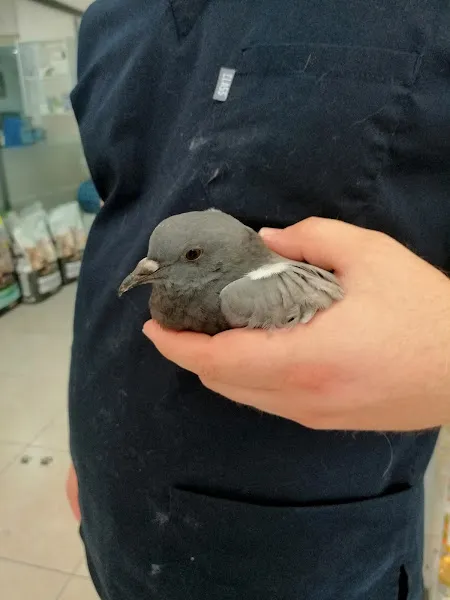 Vetpol Veteriner Kliniği foto 2