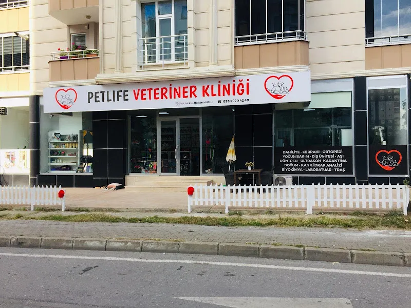 Petlife Veteriner Kliniği foto 1