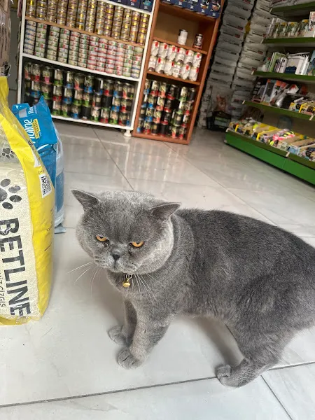 KONYA PETSHOP foto 2