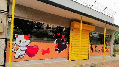 Bursa Jessie pet kuaför fotoğrafı