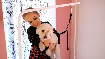 Hachiko Tekirdağ Pet Kuaför & Pet hotel & Pet kuaför eğitimi