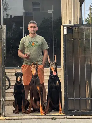 SAMSUN KÖPEK EĞİTİM AKADEMİSİ