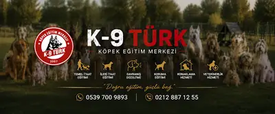 K9 KÖPEK EĞİTİM MERKEZİ fotoğrafı