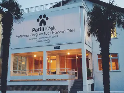 Patili Köşk Veteriner Kliniği ve Evcil Hayvan Oteli