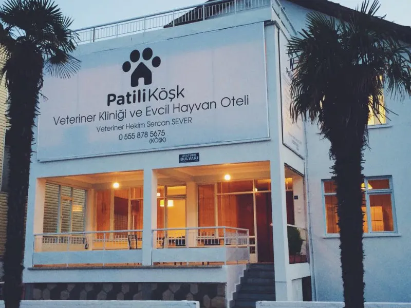 Patili Köşk Veteriner Kliniği ve Evcil Hayvan Oteli foto 1
