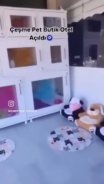 Çeşme Pet Shop Pet Kuaför Pet Otel Köpek Eğitimi foto 2