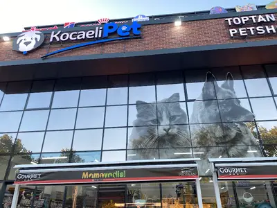 KOCAELİPET PET SHOP EVCİL HAYVAN ÜRÜLERİ