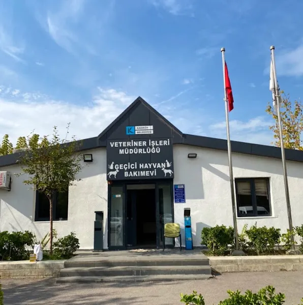 Kadıköy Belediyesi Geçici Hayvan Bakımevi foto 2