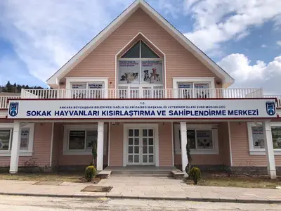 KISAMER Ankara Büyükşehir Belediyesi Sokak Hayvanları Kısırlaştırma ve Sahiplendirme Merkezi