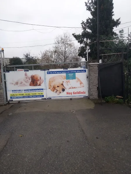 Gebze Sokak Hayvanları Bakım Merkezi foto 2