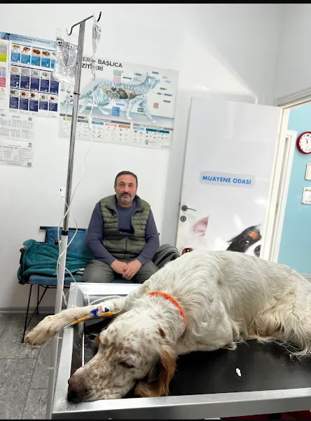 Vetix Ümraniye Veteriner Kliniği (Pet, Kedi, Köpek, Kuş) foto 2