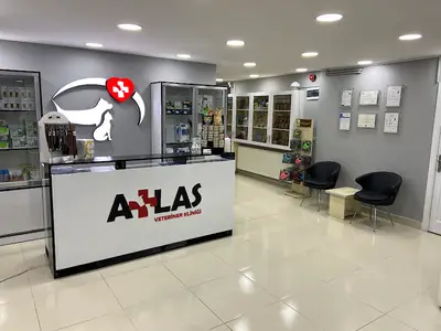 Atlas Veteriner Kliniği Gebze