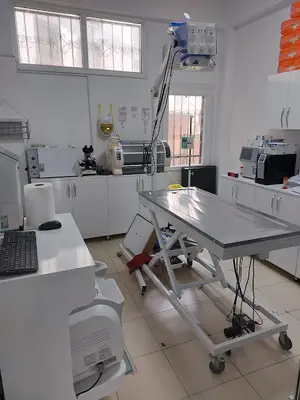 Bambam Veteriner Kliniği fotoğrafı