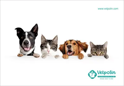 VETPOLİN VETERİNER KLİNİĞİ
