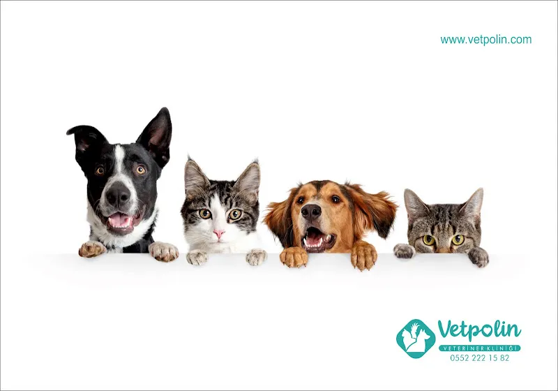 VETPOLİN VETERİNER KLİNİĞİ foto 1