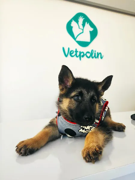 VETPOLİN VETERİNER KLİNİĞİ foto 2