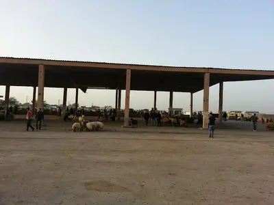 Hayvan Pazarı