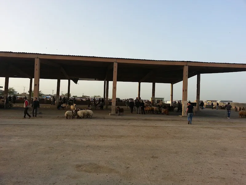 Hayvan Pazarı foto 1