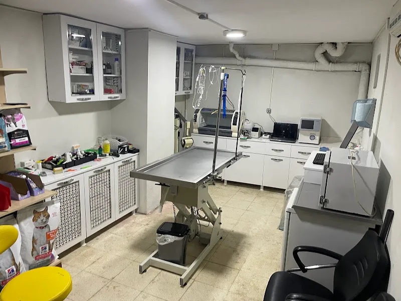 Fuzuli Veteriner Kliniği foto 2