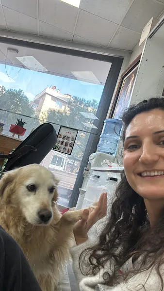 Derman veteriner kliniği foto 2