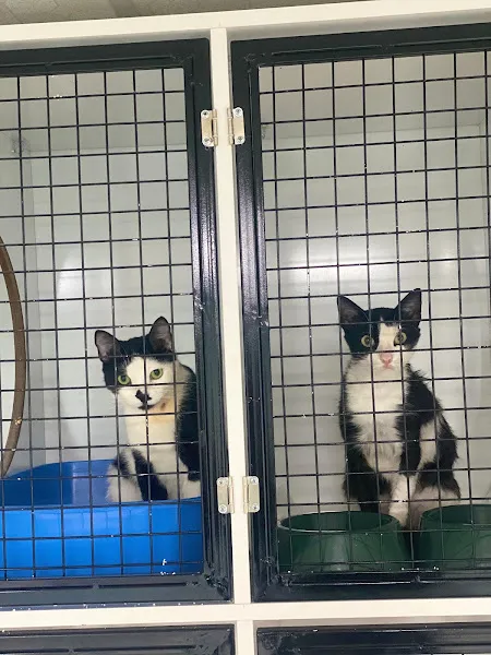 Mezitli Vetox Veteriner Kliniği foto 1