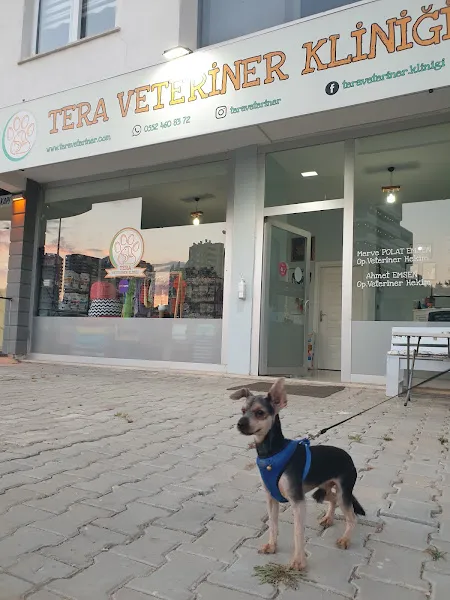 Tera Veteriner Kliniği foto 2