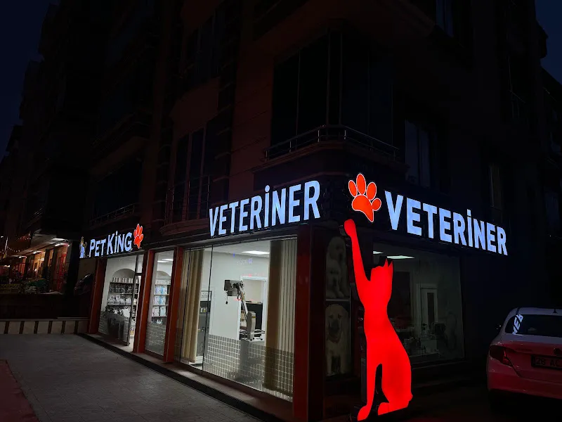 Samsun PETKİNG Veteriner Kliniği 7/24 ACİL foto 1
