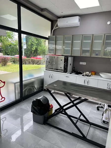 Mine Veteriner Kliniği foto 1