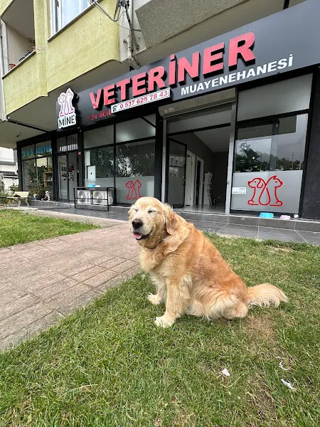 Mine Veteriner Kliniği foto 2