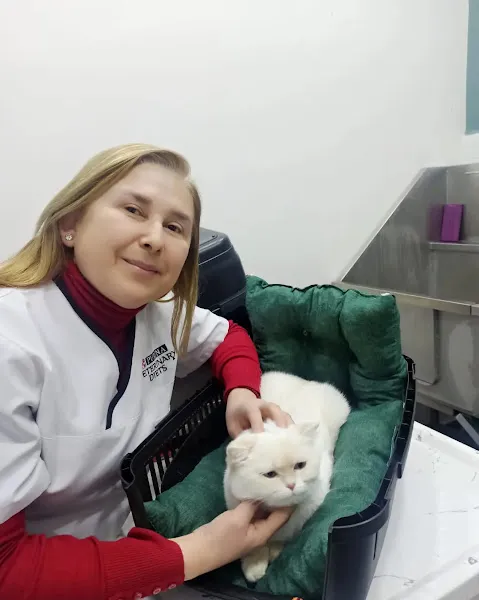 Ünlü Veteriner Kliniği foto 2
