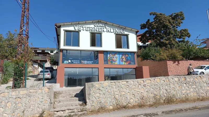 Güneş Veteriner Kliniği foto 1