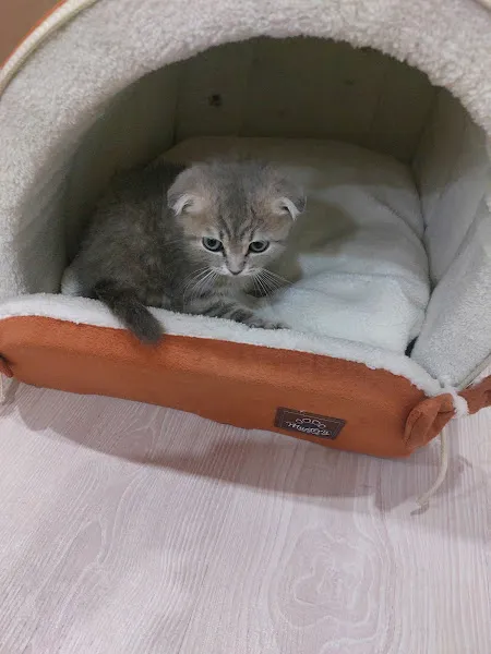 MyPet Veteriner Kliniği foto 2