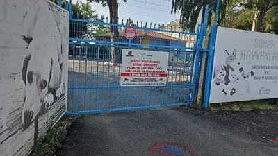 Manavgat Belediyesi Hayvan Barınağı fotoğrafı