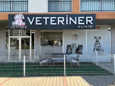 Vetfoks Veteriner Kliniği