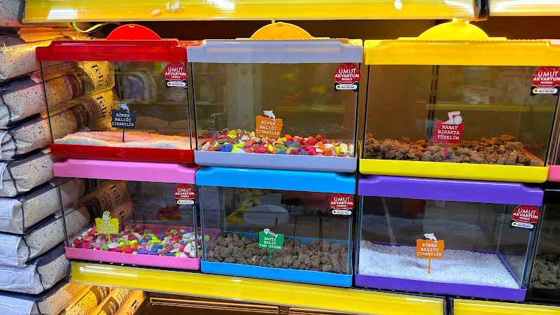 Umut petshop foto 2