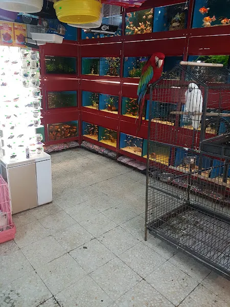 Çağlayan pet shop foto 1