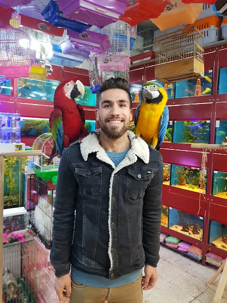 Çağlayan pet shop foto 2