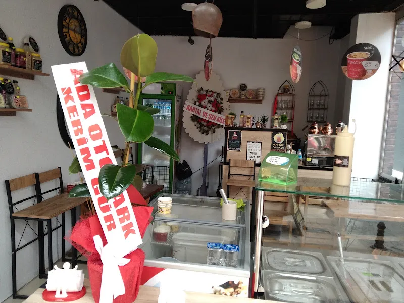 Lady paw petshop foto 2