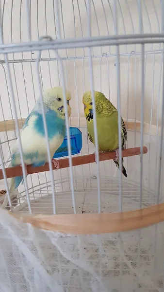 Ekin Pet Shop foto 2
