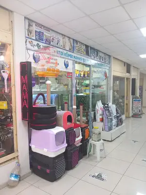Blue Pet Shop