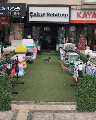 Çakır Petshop