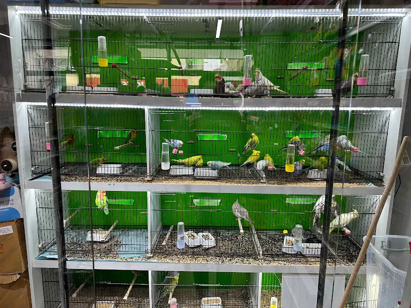 Petasya Kayışdağı Petshop foto 2