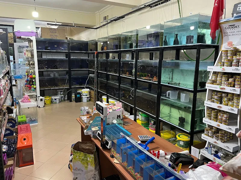 Aydın petshop foto 2