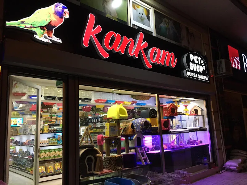 KANKAM PETSHOP BURSA foto 2