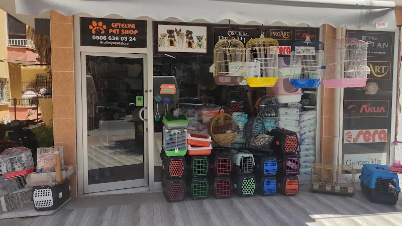 Eftelya Petshop foto 2